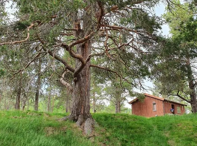 Borkhushyttene Vakantiehuis *