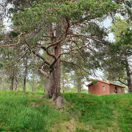 Borkhushyttene Vakantiehuis *